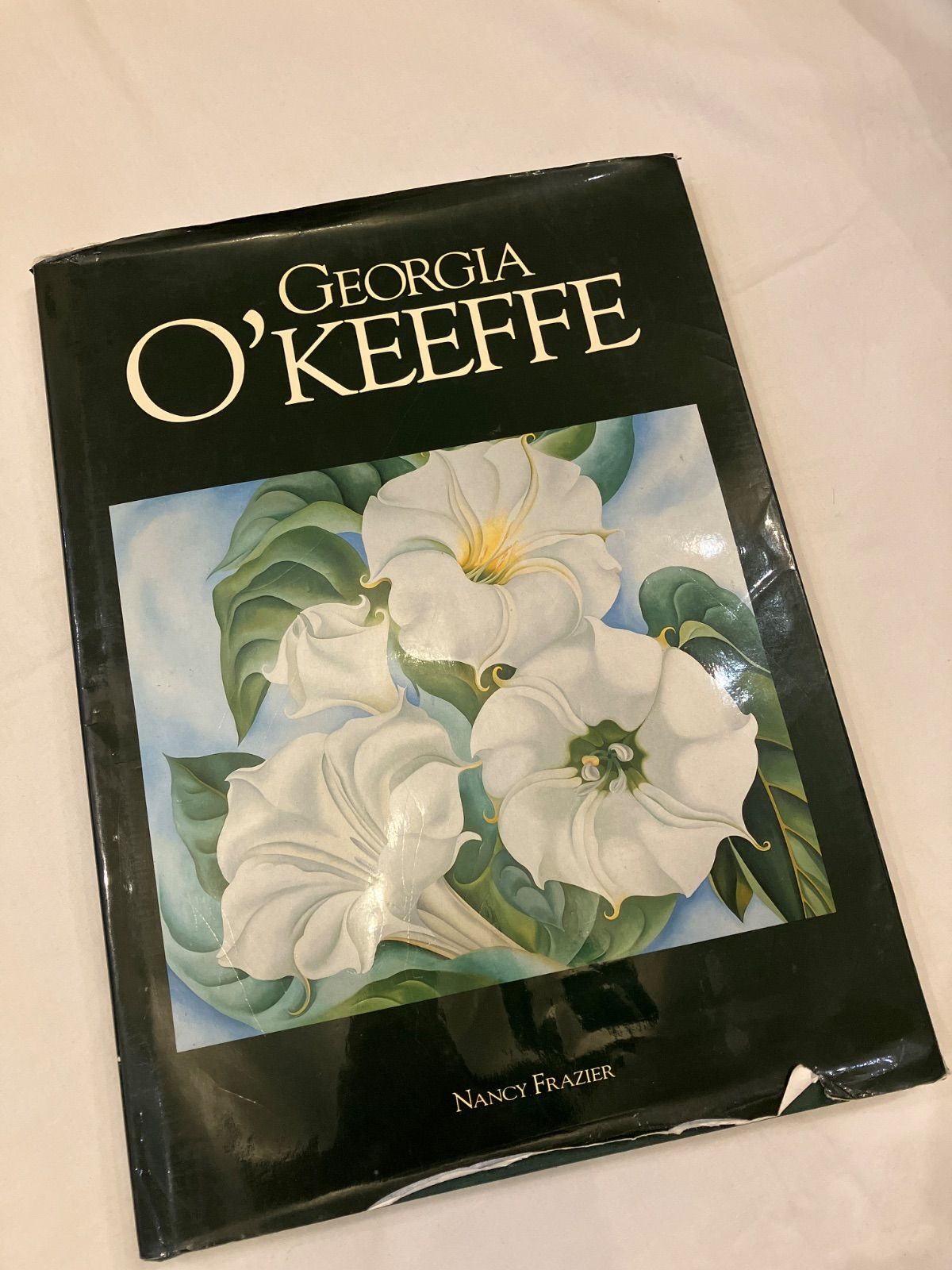 IA O'KEEFFE ジョージア・オキーフ 作品集 ジョージア・オキーフ ”Georgia O'Keeffe Art and Letters