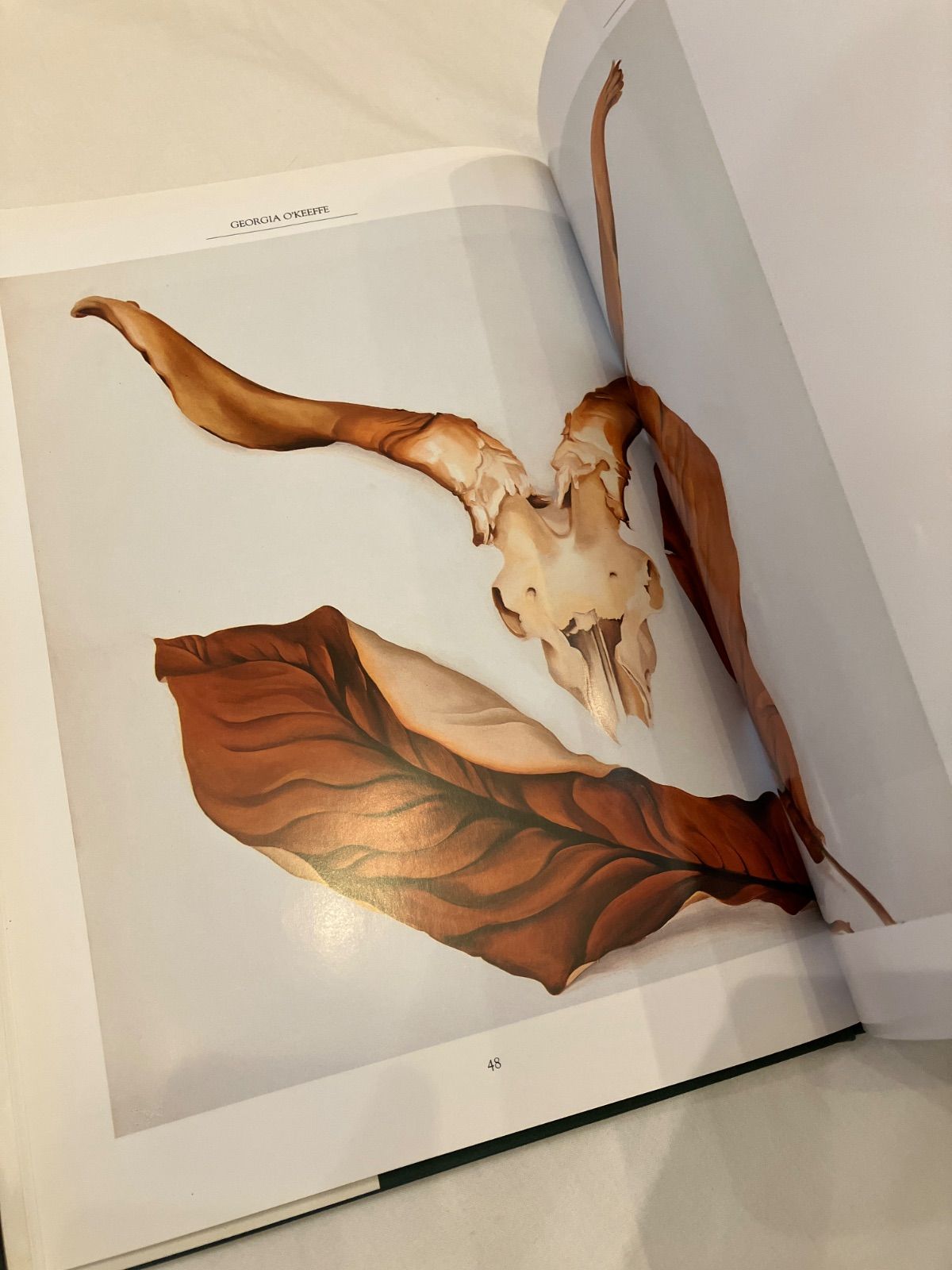 georgia o'keeffe ジョージア・オキーフ 作品集 - メルカリ