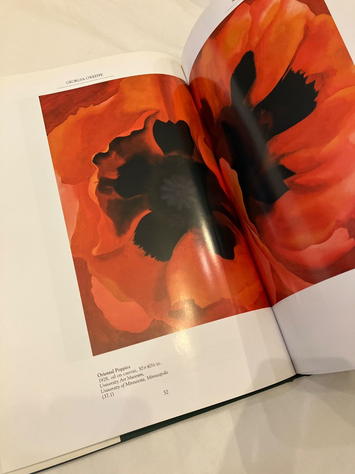 georgia o'keeffe ジョージア・オキーフ 作品集 - メルカリ