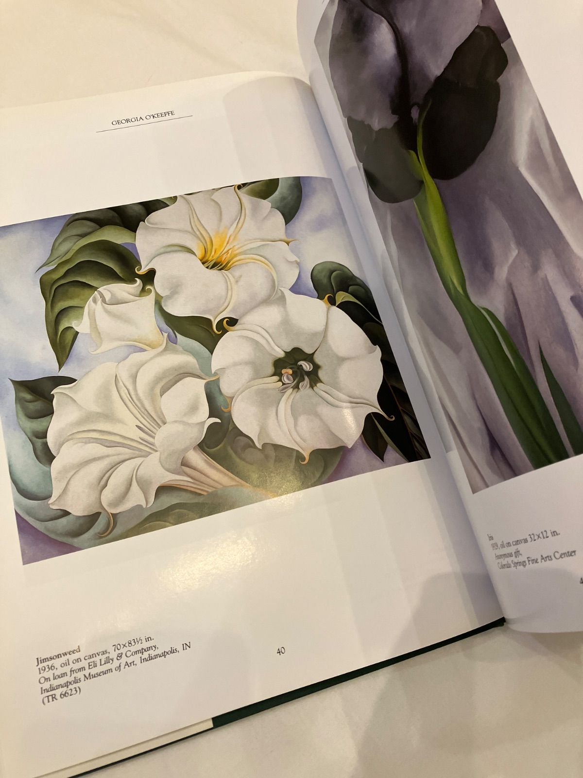 georgia o'keeffe ジョージア・オキーフ 作品集 - メルカリ