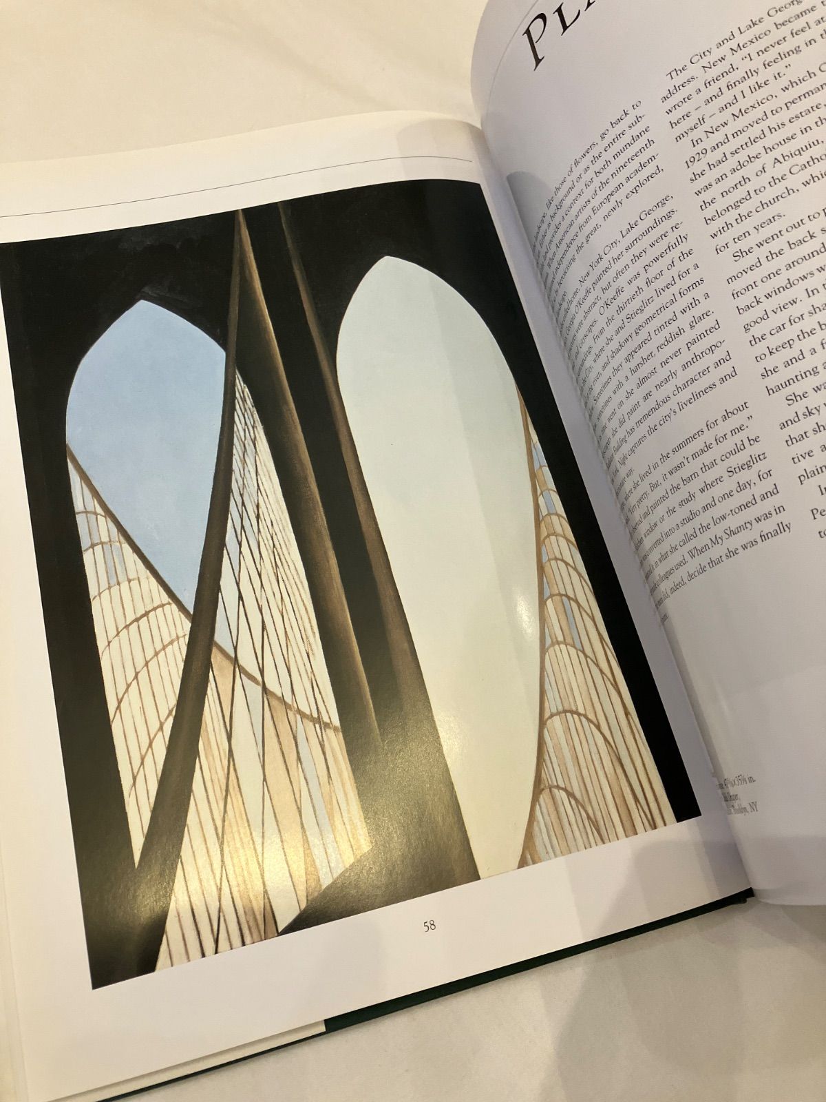 georgia o'keeffe ジョージア・オキーフ 作品集 - メルカリ