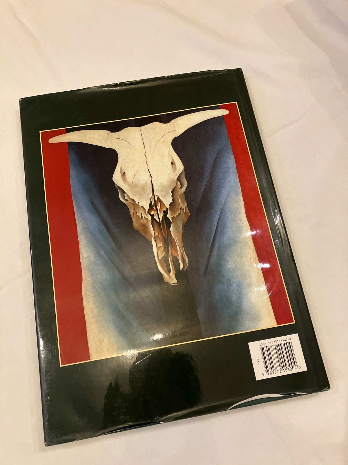 IA O'KEEFFE ジョージア・オキーフ 作品集 ジョージア・オキーフ ”Georgia O'Keeffe Art and Letters