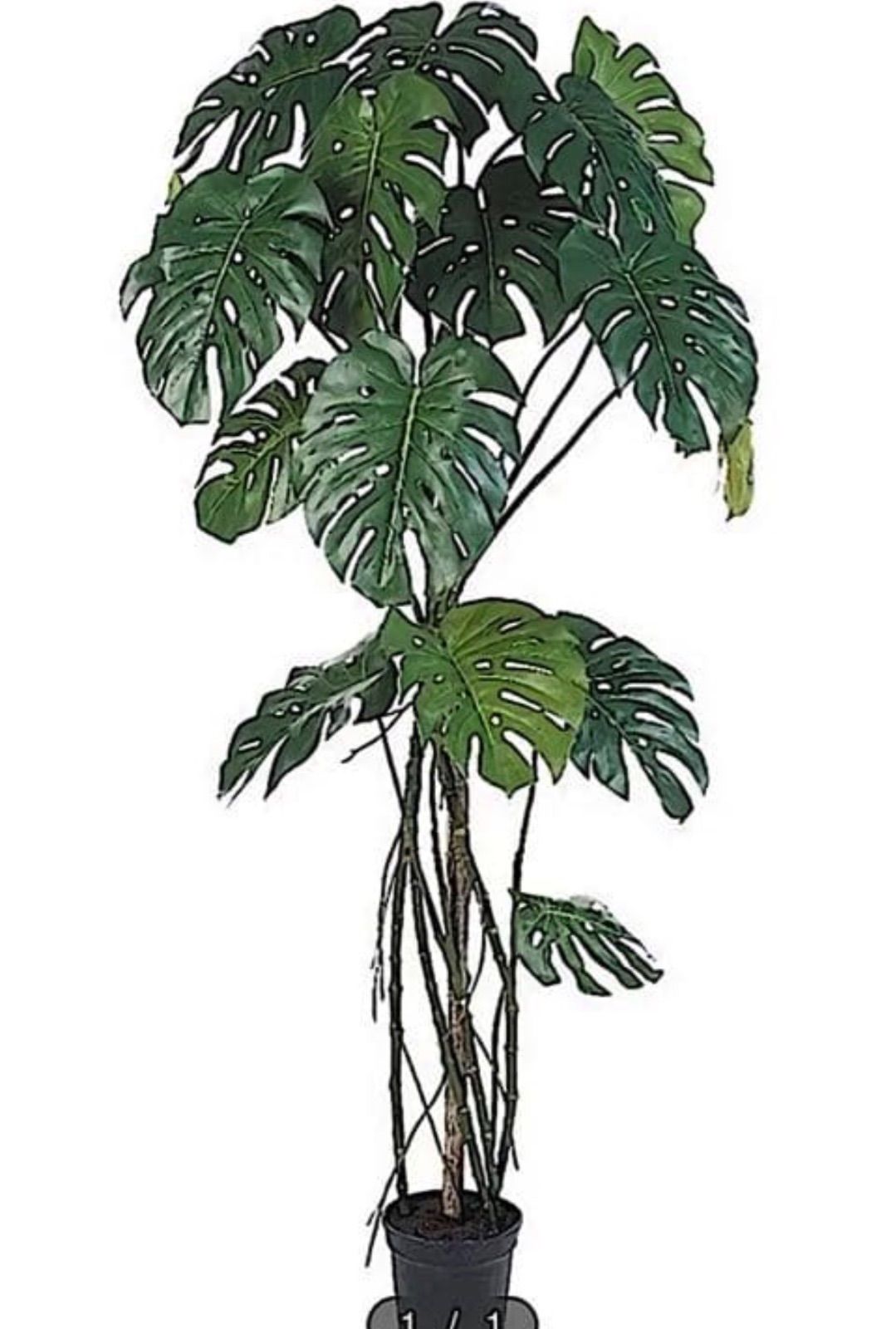 光触媒 人工観葉植物 ウォールグリーン フェイクグリーン モンステラ