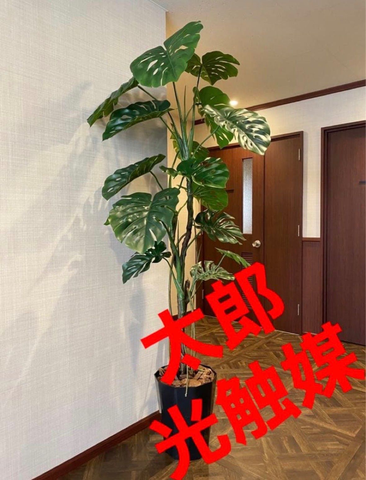 光触媒 人工観葉植物 ウォールグリーン フェイクグリーン モンステラ