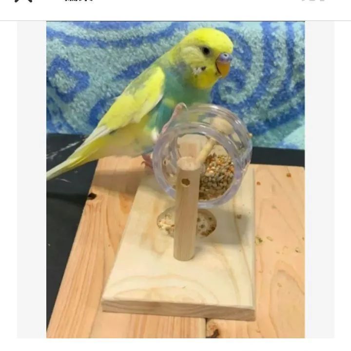 a64 くるくるフォージングトイセット バードトイ 難易度高め - メルカリ