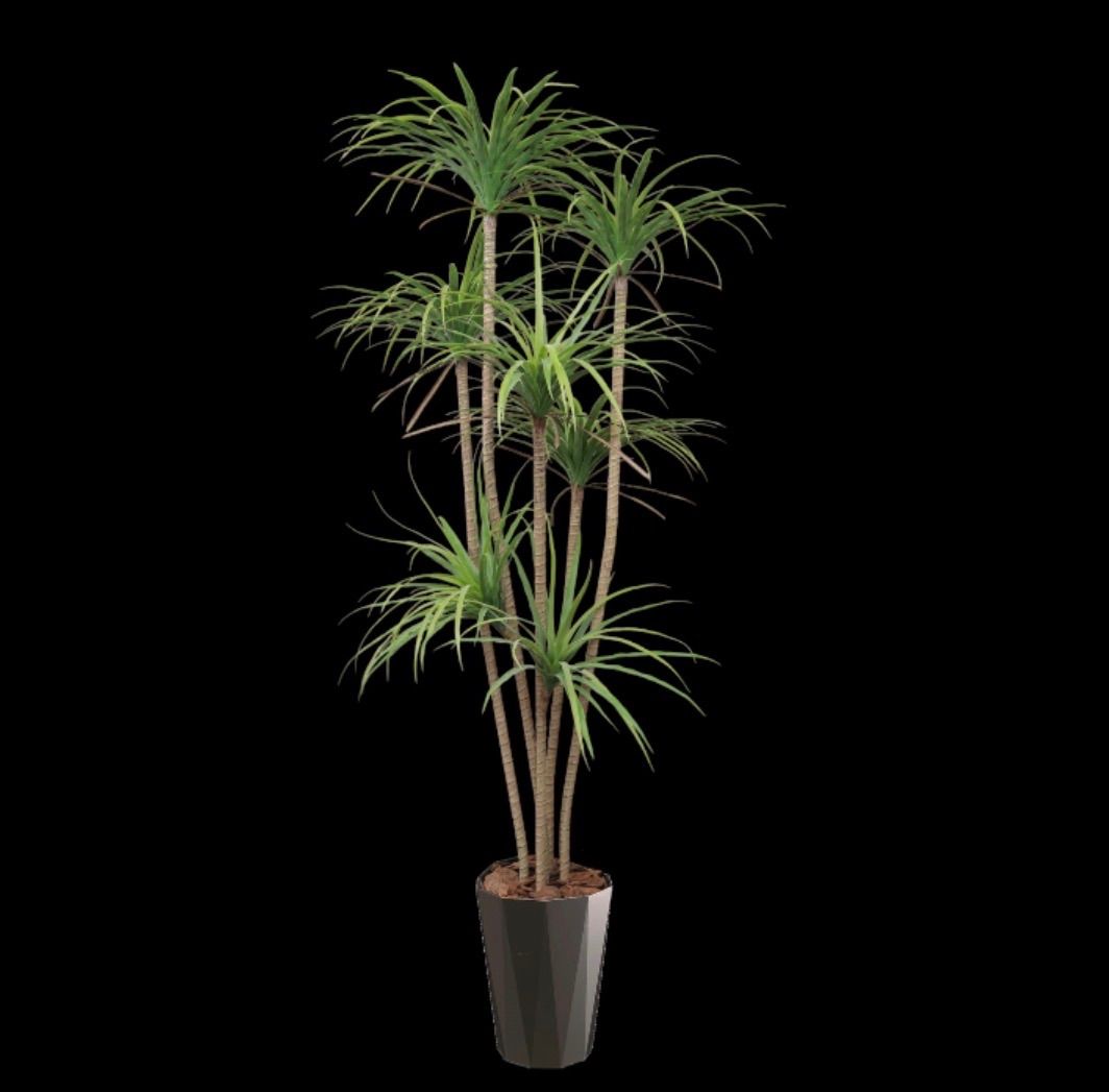 光触媒 人工観葉植物 ウォールグリーン フェイクグリーン ドラセナ