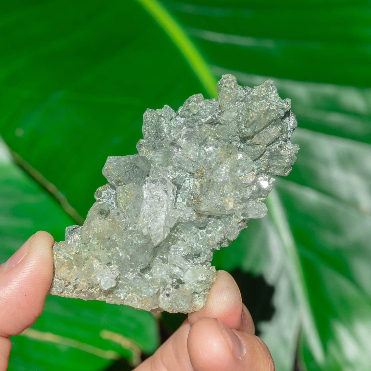 一点物】 ヒマラヤ水晶原石 【74g】クラスター・クローライト