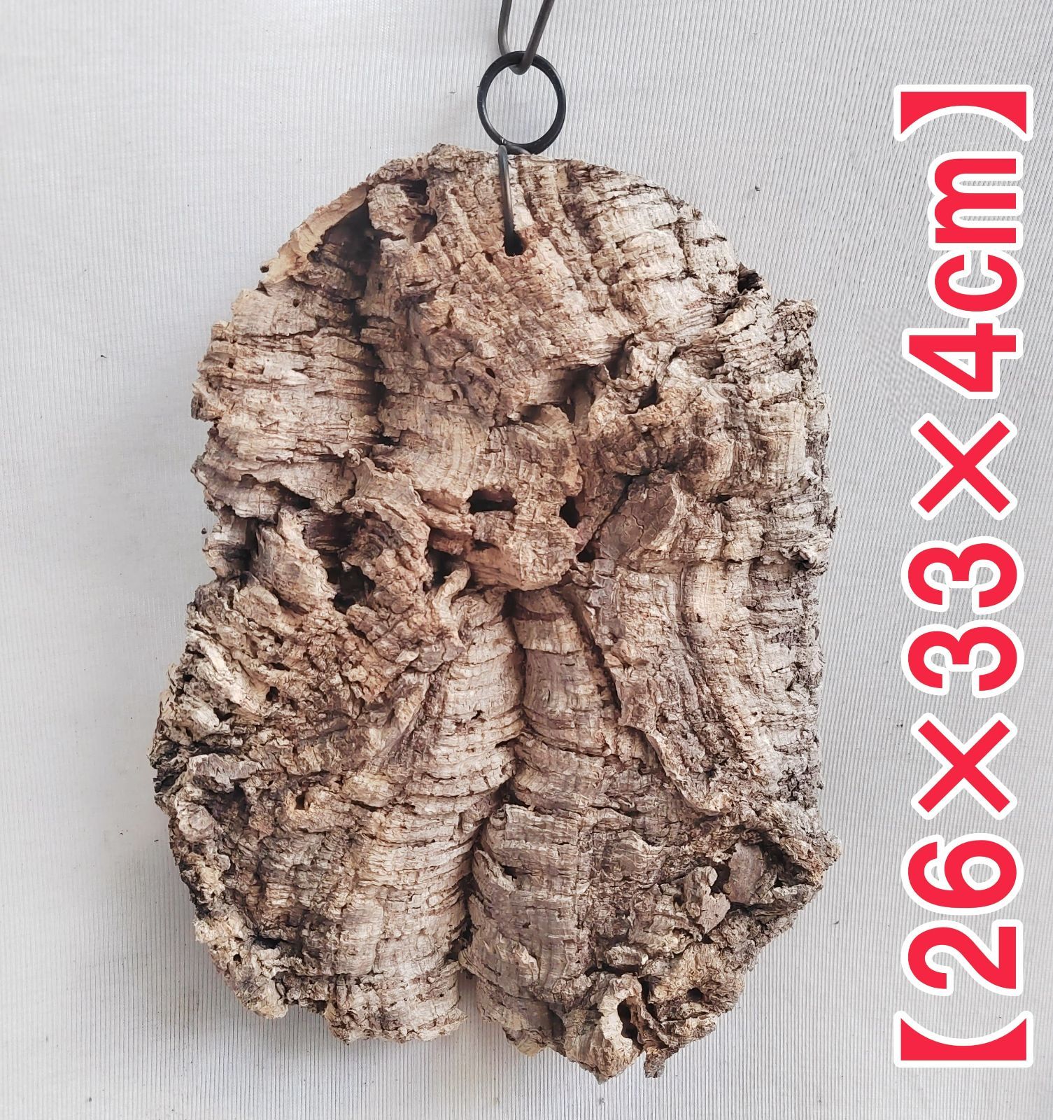 g234 ポルトガル産 厚め コルク樹皮 コルク板 バージンコルク 送料無料