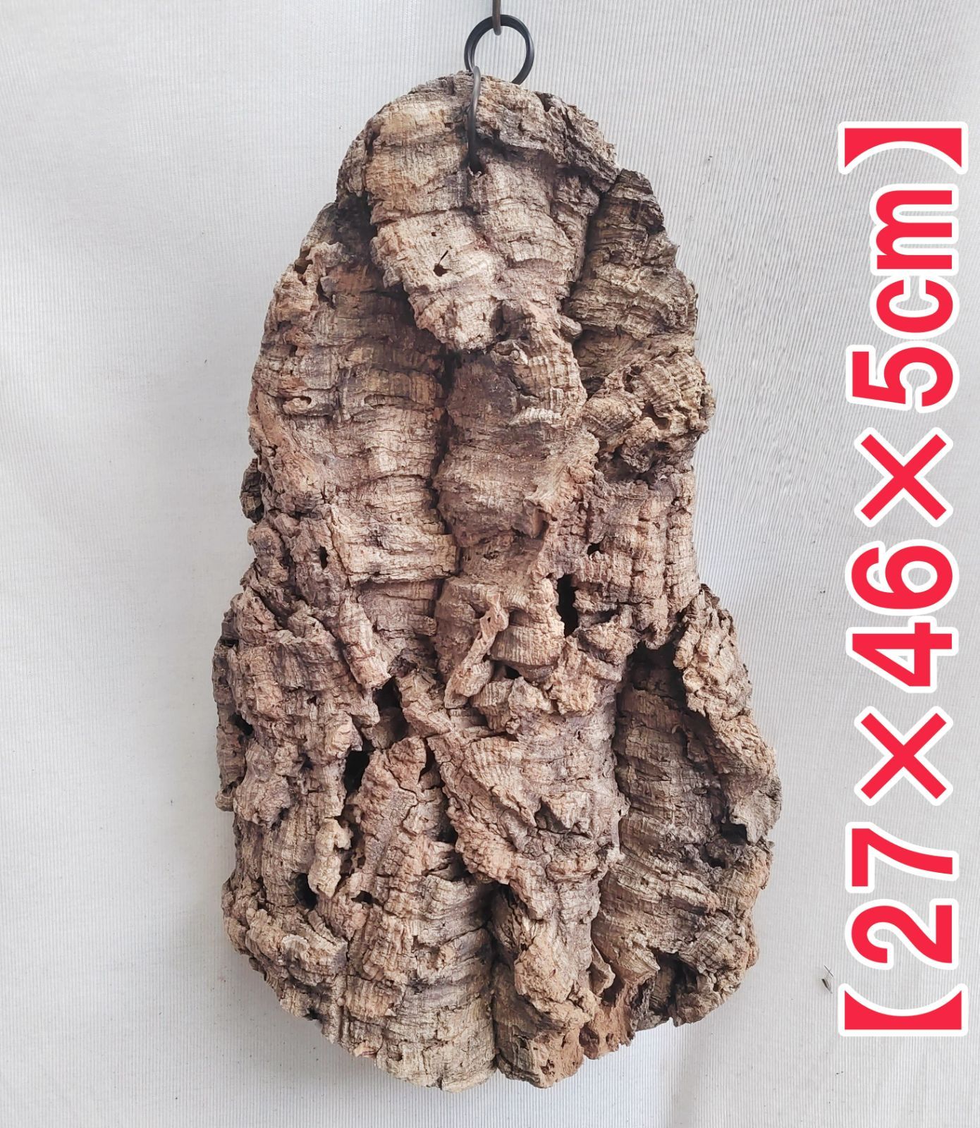 g239 ポルトガル産 厚め コルク樹皮 コルク板 バージンコルク 送料無料