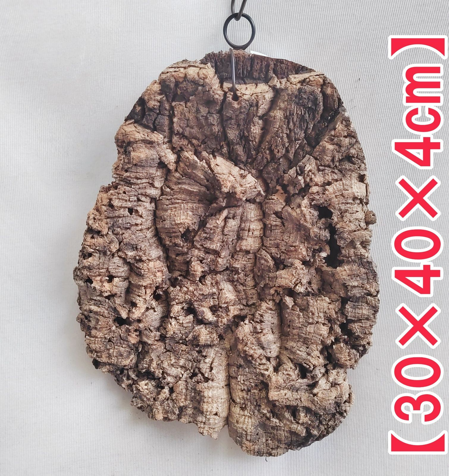 g238 ポルトガル産 厚め コルク樹皮 コルク板 バージンコルク 送料無料