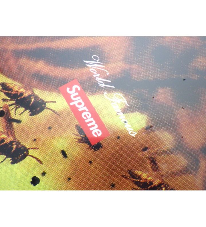 シュプリーム Supreme × ウータンクラン Wu-Tang Clan 25AW 【 Wu-Tang