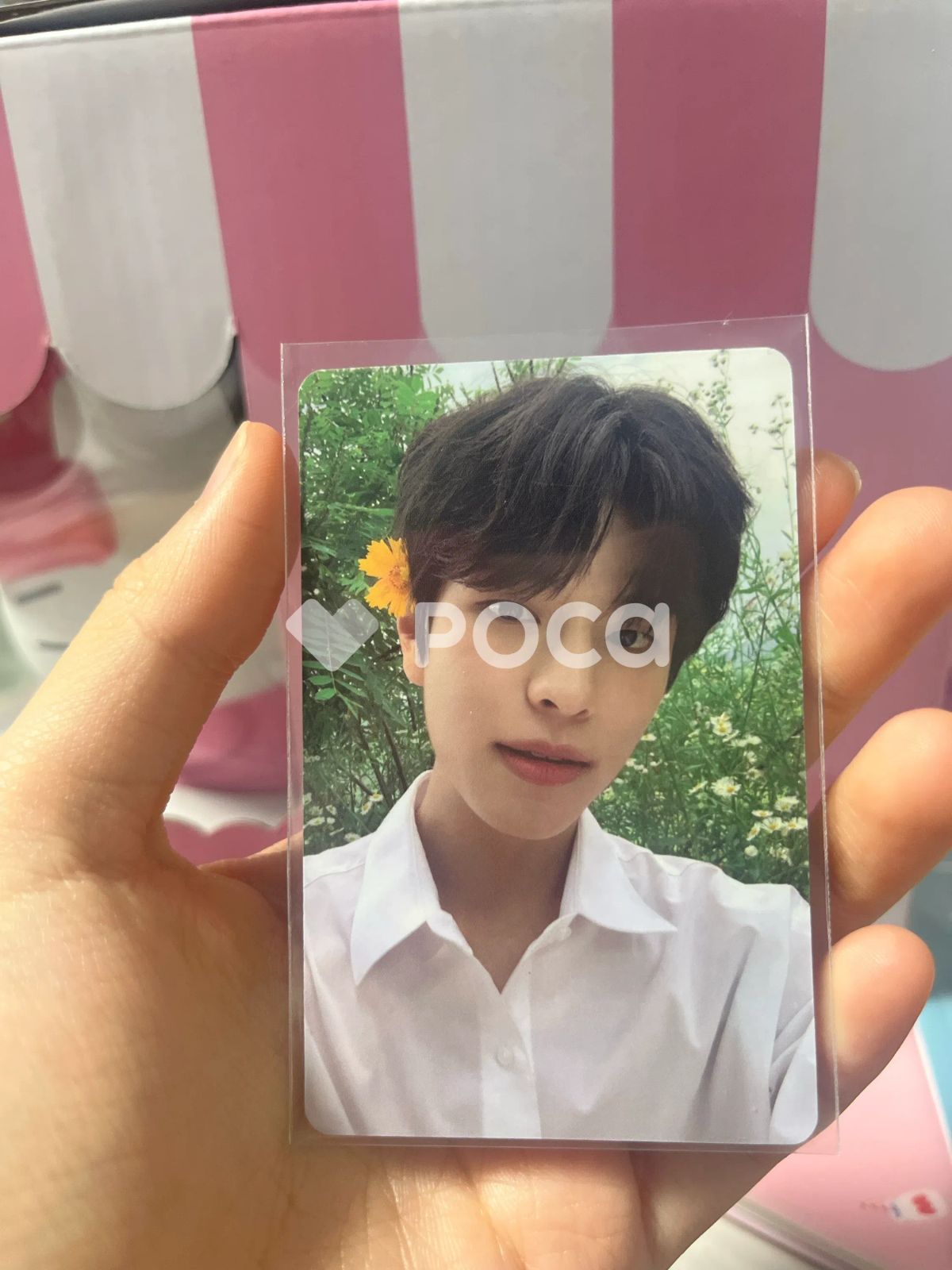 straykids スンミン スキズ NOEASY 限定盤 - メルカリ