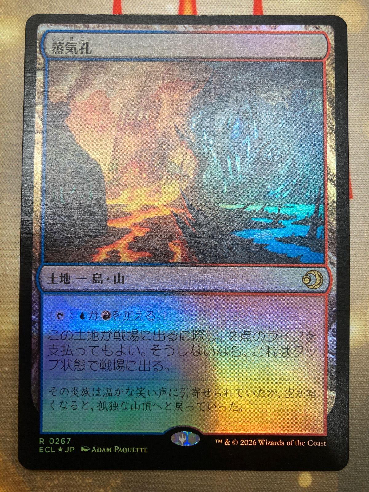 MTG 蒸気孔 日本語 foil - メルカリ