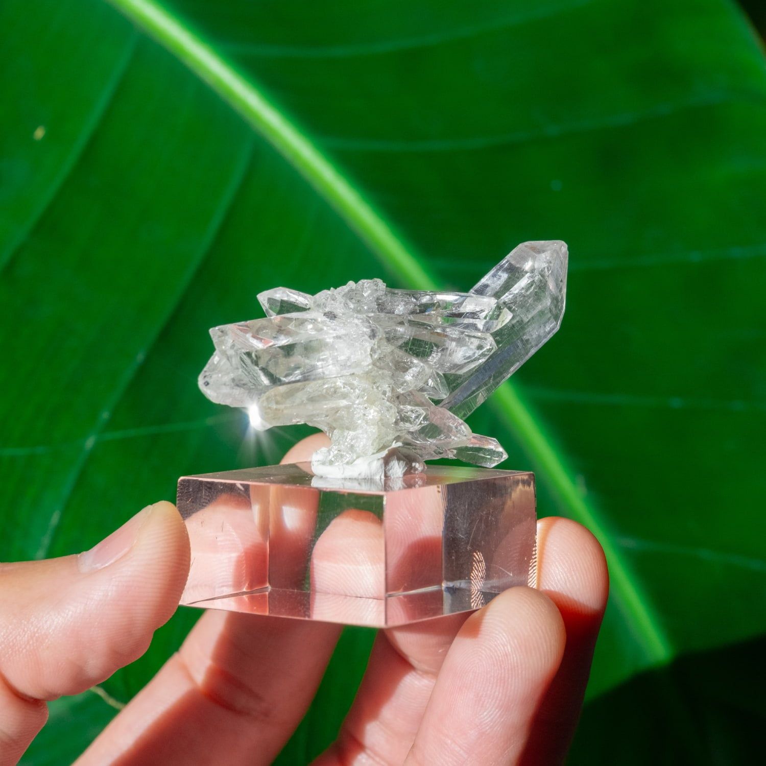 一点物】 ヒマラヤ水晶原石 【28g】クラスター・透明・ダビー