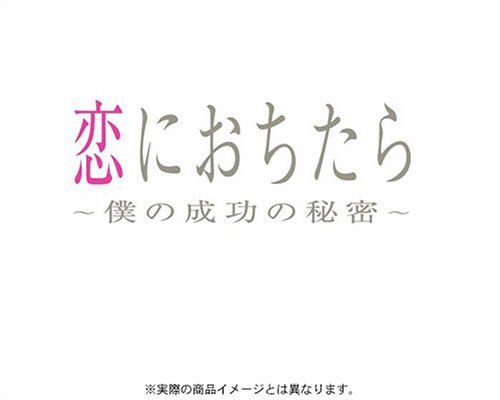 恋におちたら ~ 僕の成功の秘密 DVD-BOX