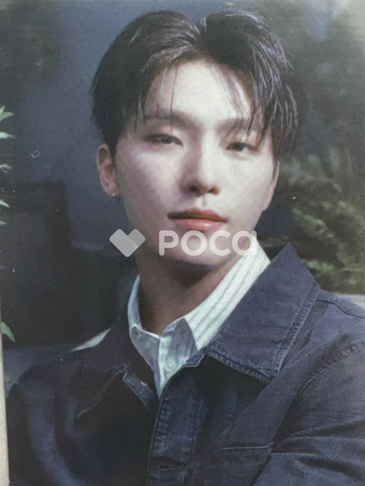 Seventeen ディノ セブチ 消費期限 Limited Edition B - メルカリ