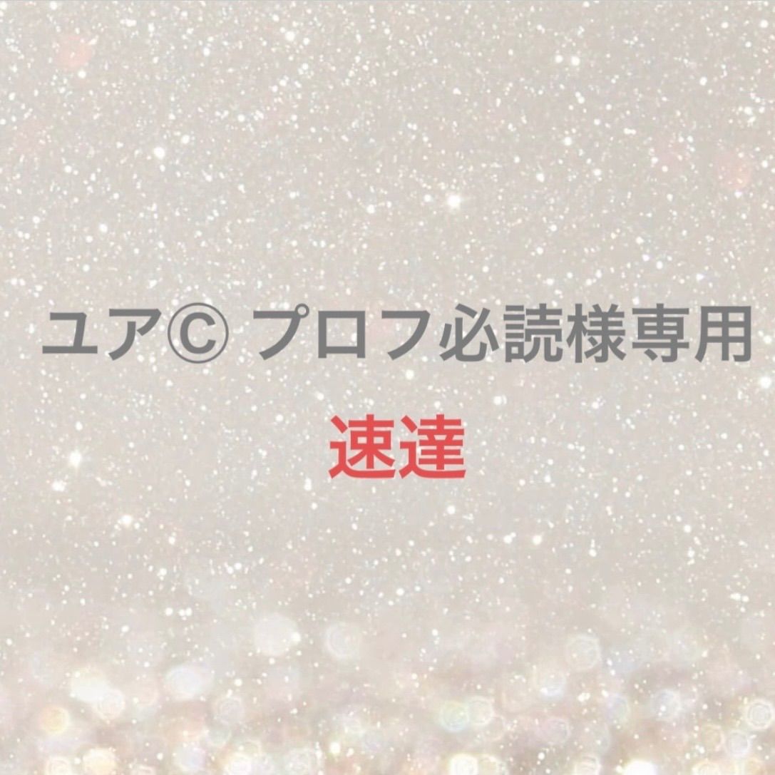 aa@プロフ必読ページ ユアⒸ プロフ必読様専用 - メルカリ