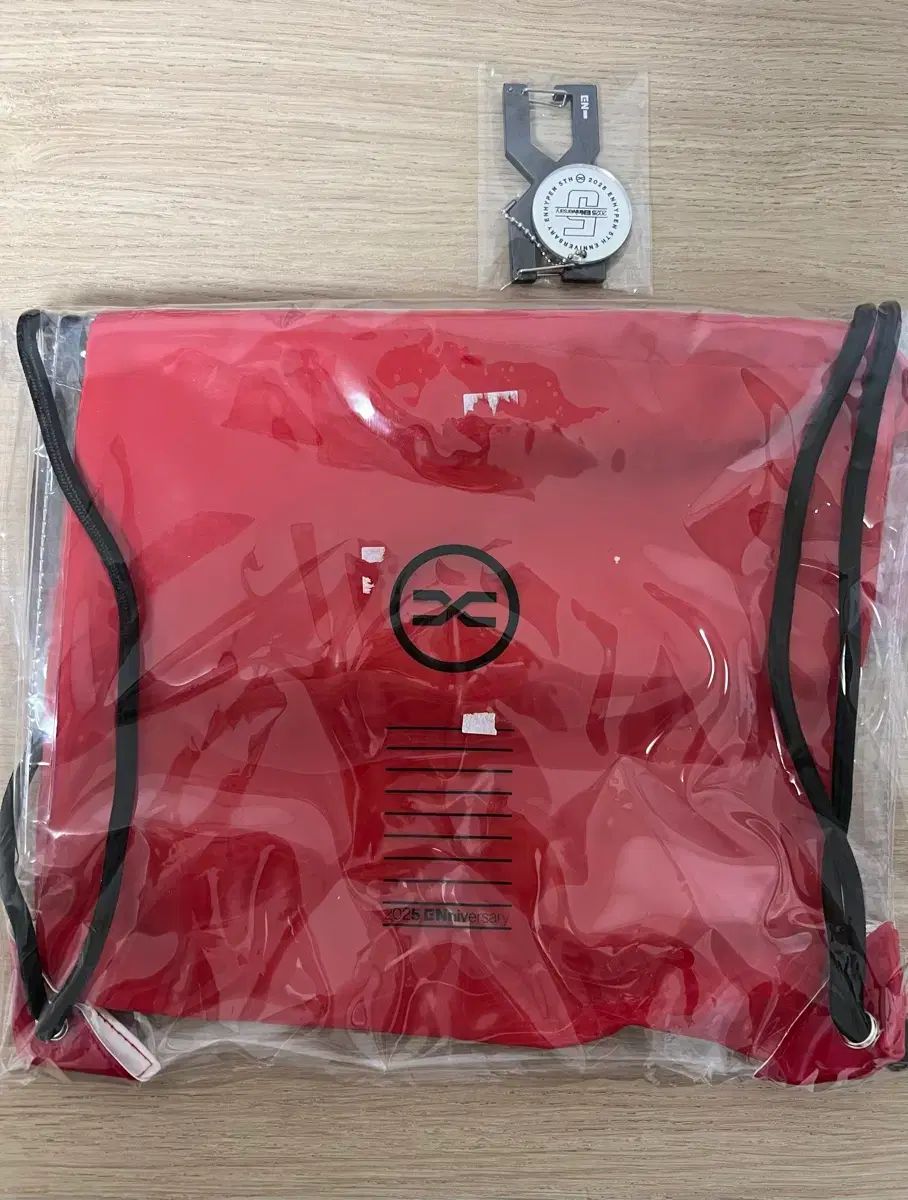 ENHYPEN（エンハイプン・エナプ） 5周年 ロッテワールド LOTTEWORLD