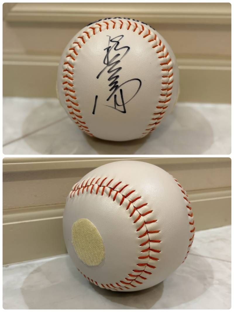 中日ドラゴンズ 初代ドアラ ぬいぐるみ 福留孝介 サインボール 野球