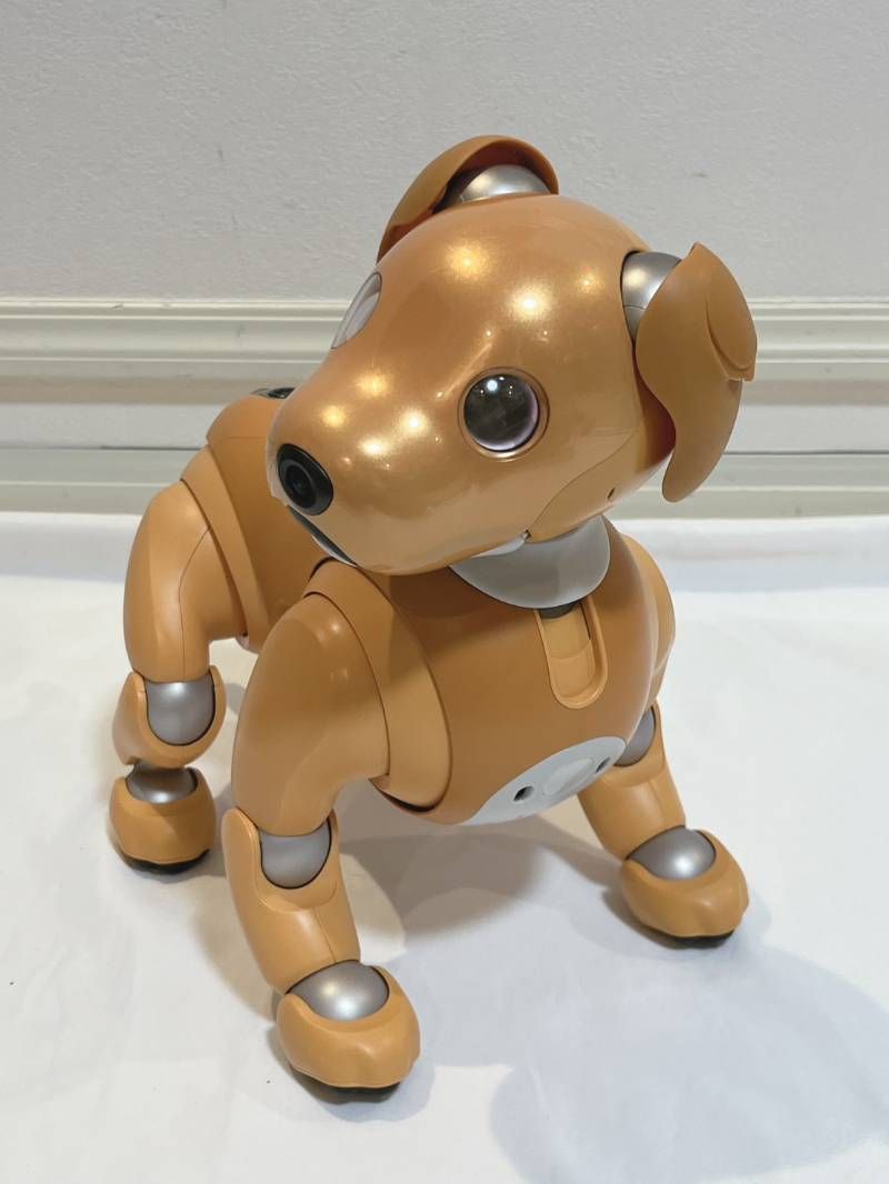 SONY aibo アイボ ERS-1000 キャラメルエディション 犬型ロボット 動作 ok!