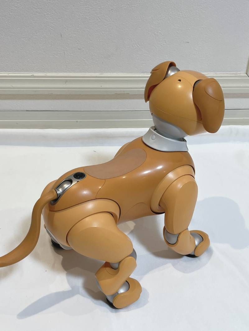 SONY aibo アイボ ERS-1000 キャラメルエディション 犬型ロボット 動作