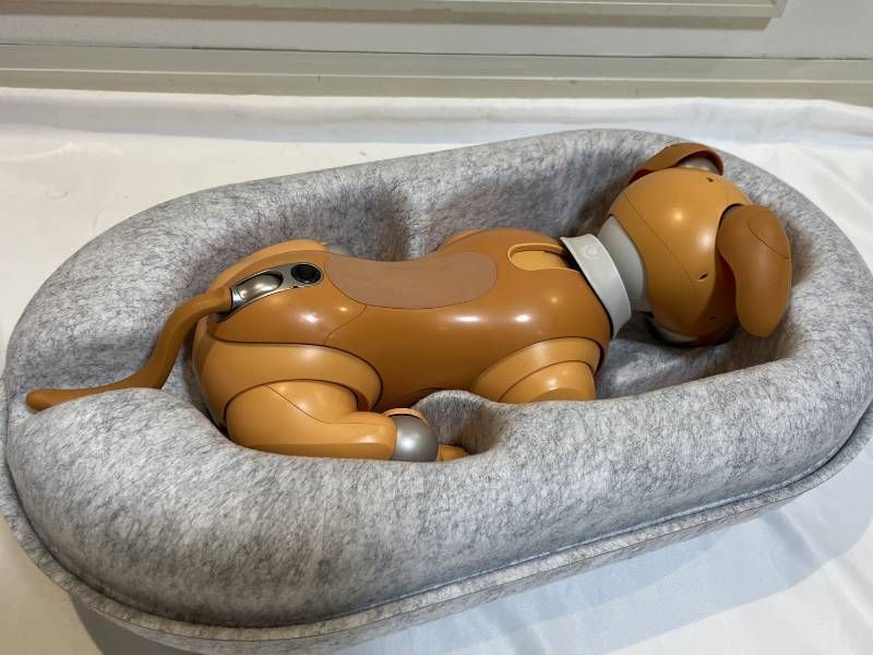 ERS-1000 キャラメルエディション