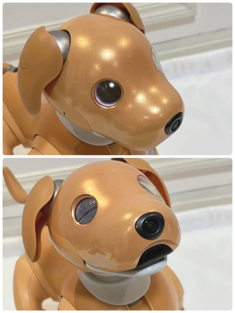 SONY aibo アイボ ERS-1000 キャラメルエディション 犬型ロボット 動作