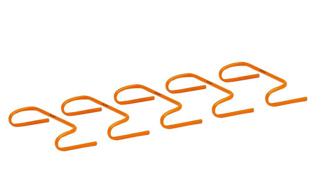 新品 TOEI LIGHT(トーエイライト) ステップハードル10 G2019 G2019