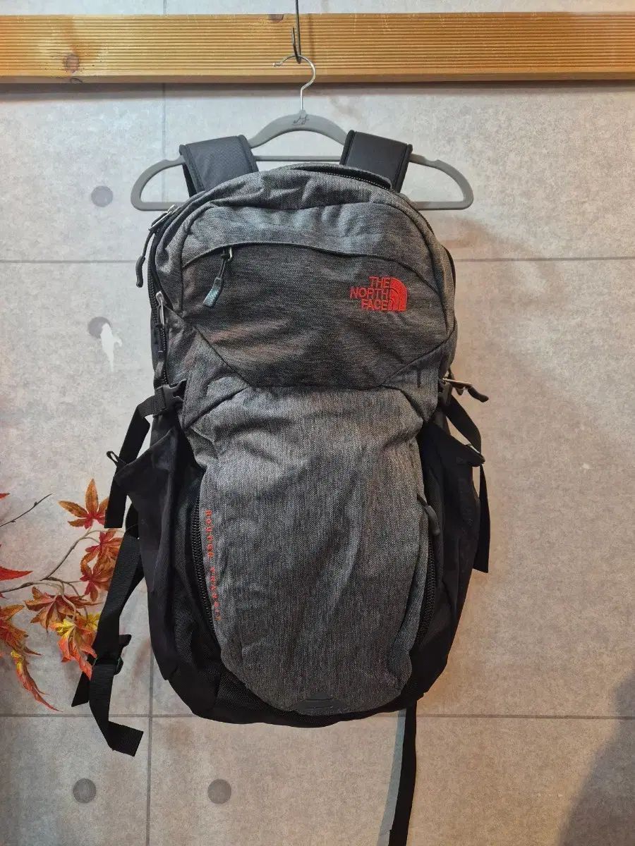 THE NORTH FACE ザノースフェイス バックパック グレー