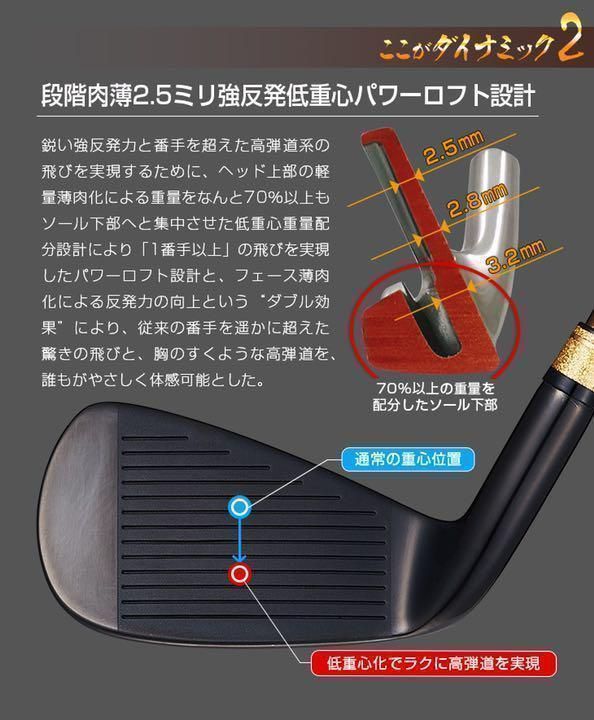 ドライバー ヘッドのみ6個2番手飛ぶ最高峰!ダイナミクス 高反発 ☆新品6本!2番手飛ぶ最高峰!ダイナミクス 0 TRADITIONALⅡ 【ヘッドのみ6個】チタン比10倍硬度の超反発力で2番手飛ぶ最高峰アイアン! ダイナゴルフ ダイナミクス プレステージアイアン 5〜PW