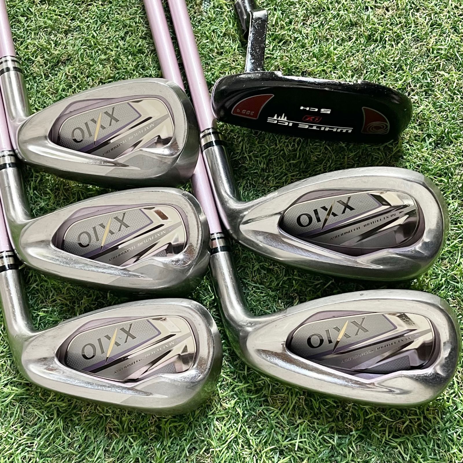 希少ホワイトピンク】XXIO7 MP700 オール7代目 レディース L ゴルフ