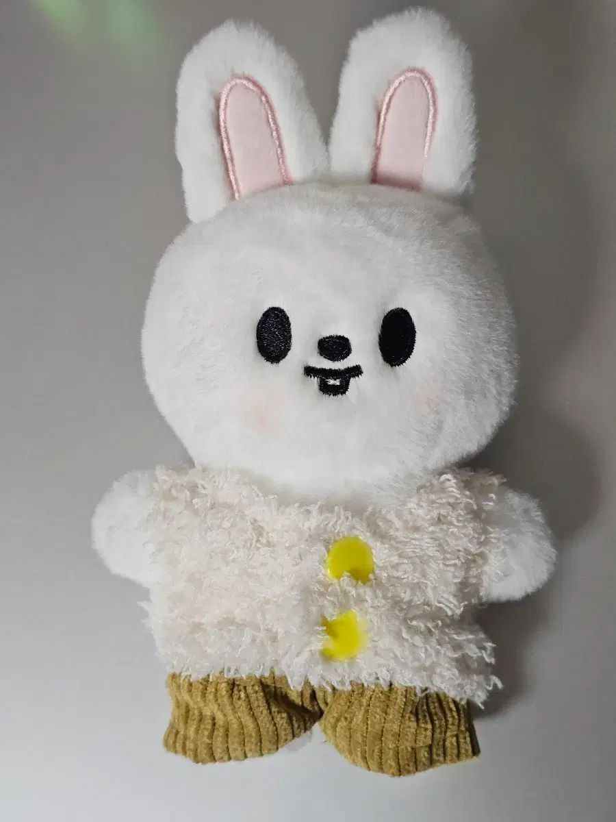 Stray Kids スキズ straykids フラシ スタンディング リービット リノ