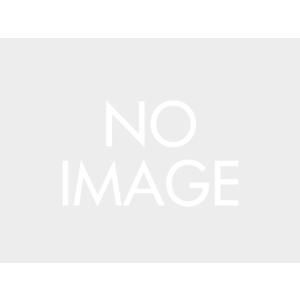 DAYTONA デイトナ GIVI SRA 5137 F 900 XR 20 品番 23950