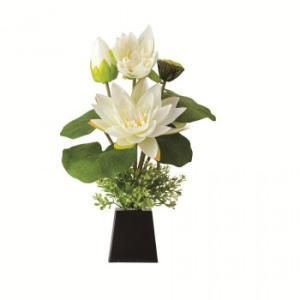 ロータス すい蓮灯 白 YMG 6426 2238300