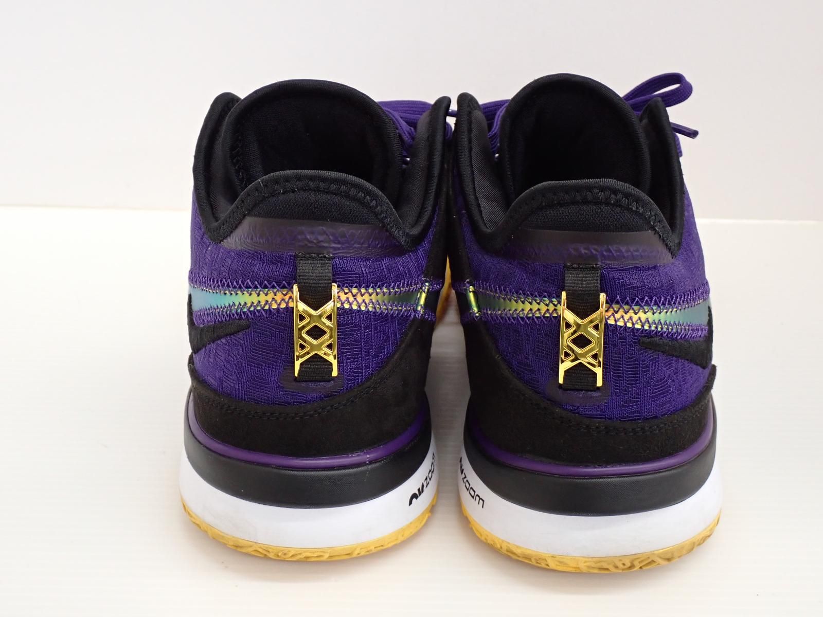 ☆3768☆NIKE ナイキ LEBRON NXXT Gen EP レブロン NXXT ジェン DR8788