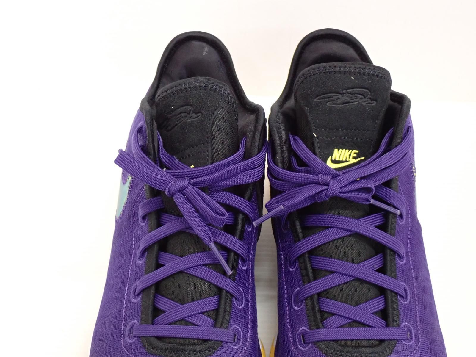 ☆3768☆NIKE ナイキ LEBRON NXXT Gen EP レブロン NXXT ジェン DR8788