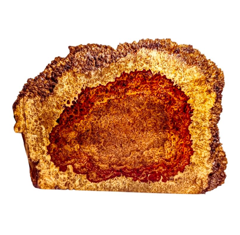 Amboyna burl slub アンボイナ バール スラブ