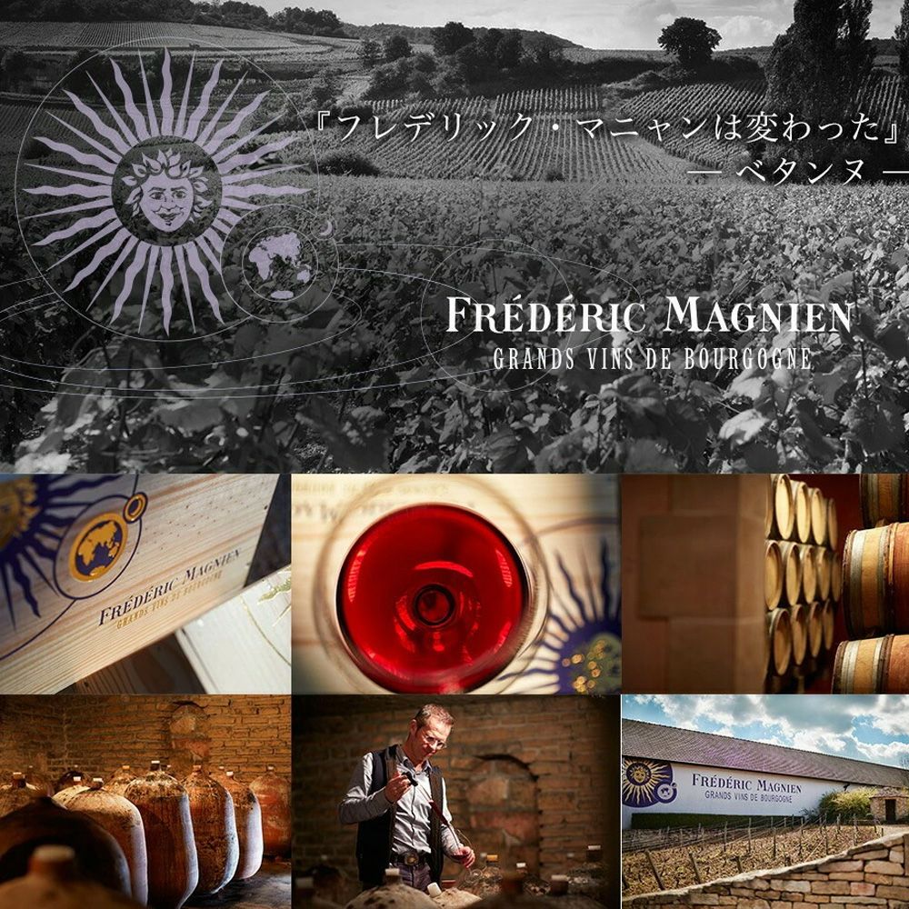 ジュヴレ シャンベルタン シャン シュニ (シェニ) アンフォラ (ジャー