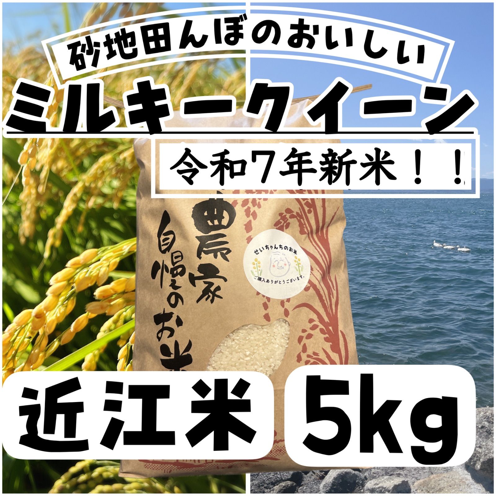 令和7年新米】近江米！ミルキークイーン5kg - メルカリ
