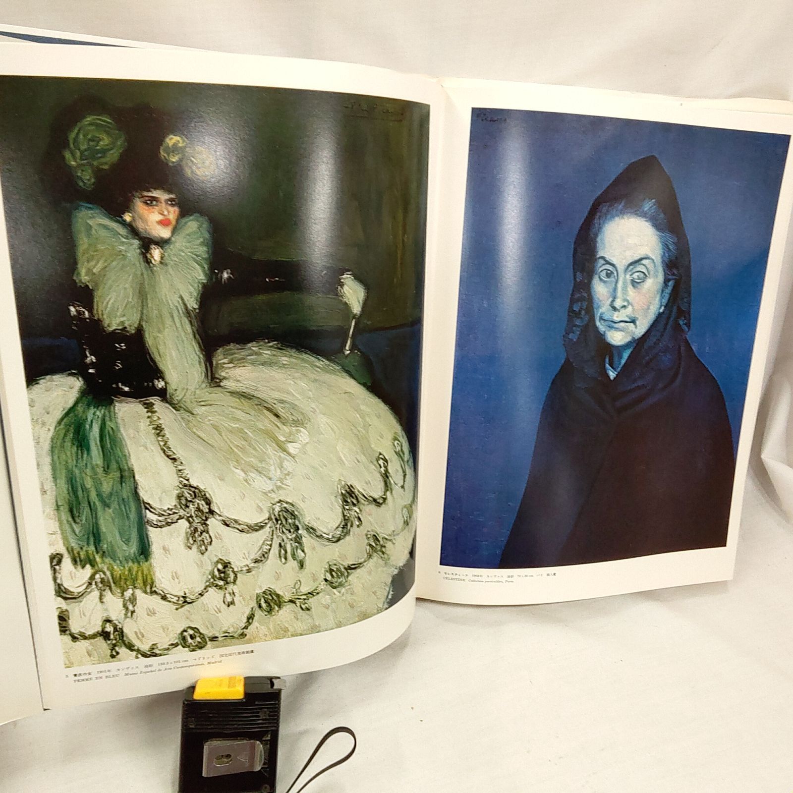 中古品・現代世界美術全集 14 ピカソ 超ワイド版 S430 - メルカリ