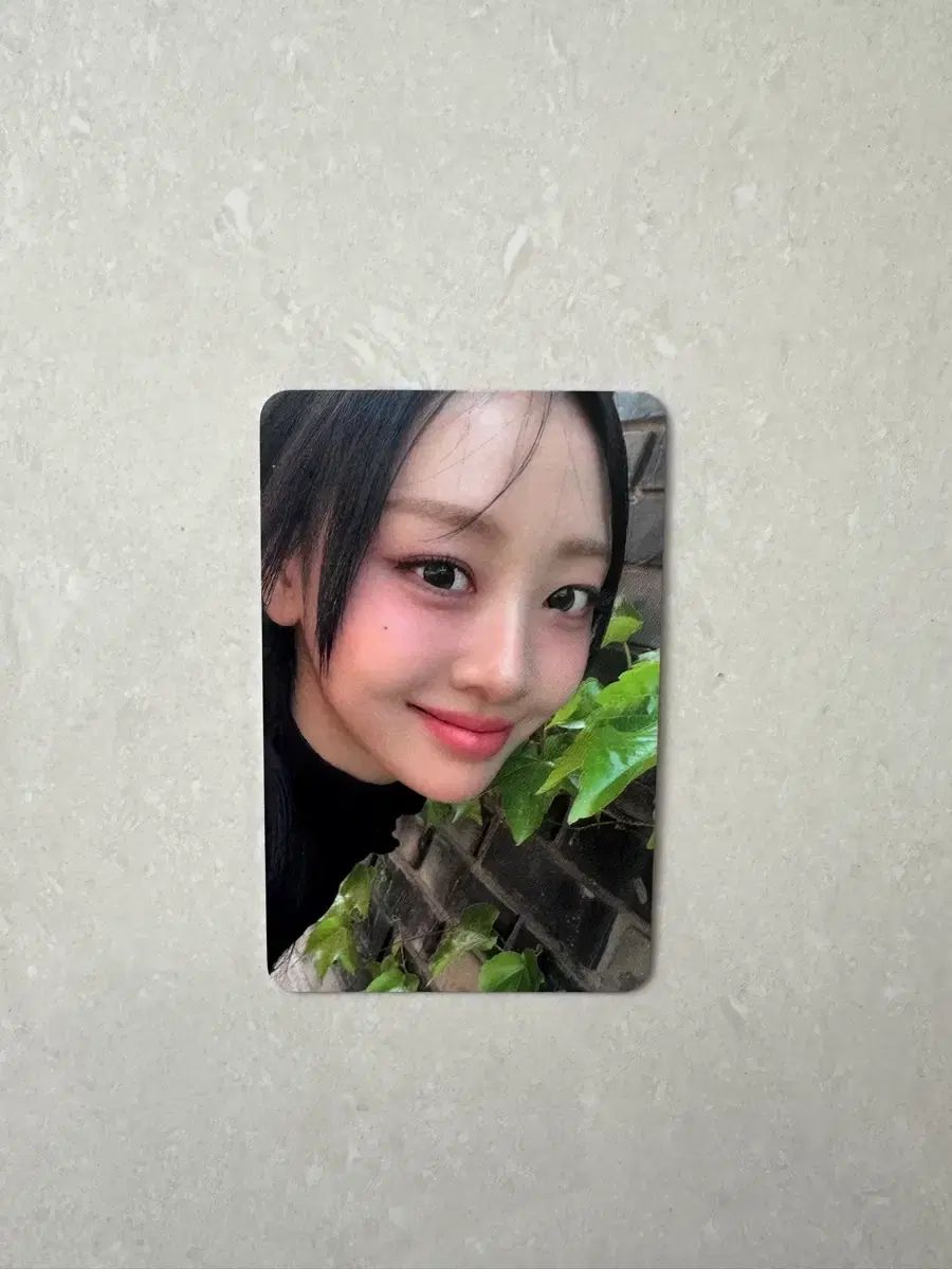 今月の少女(LOONA) イヴ MEET＆GREET トレカ コンサート - メルカリ