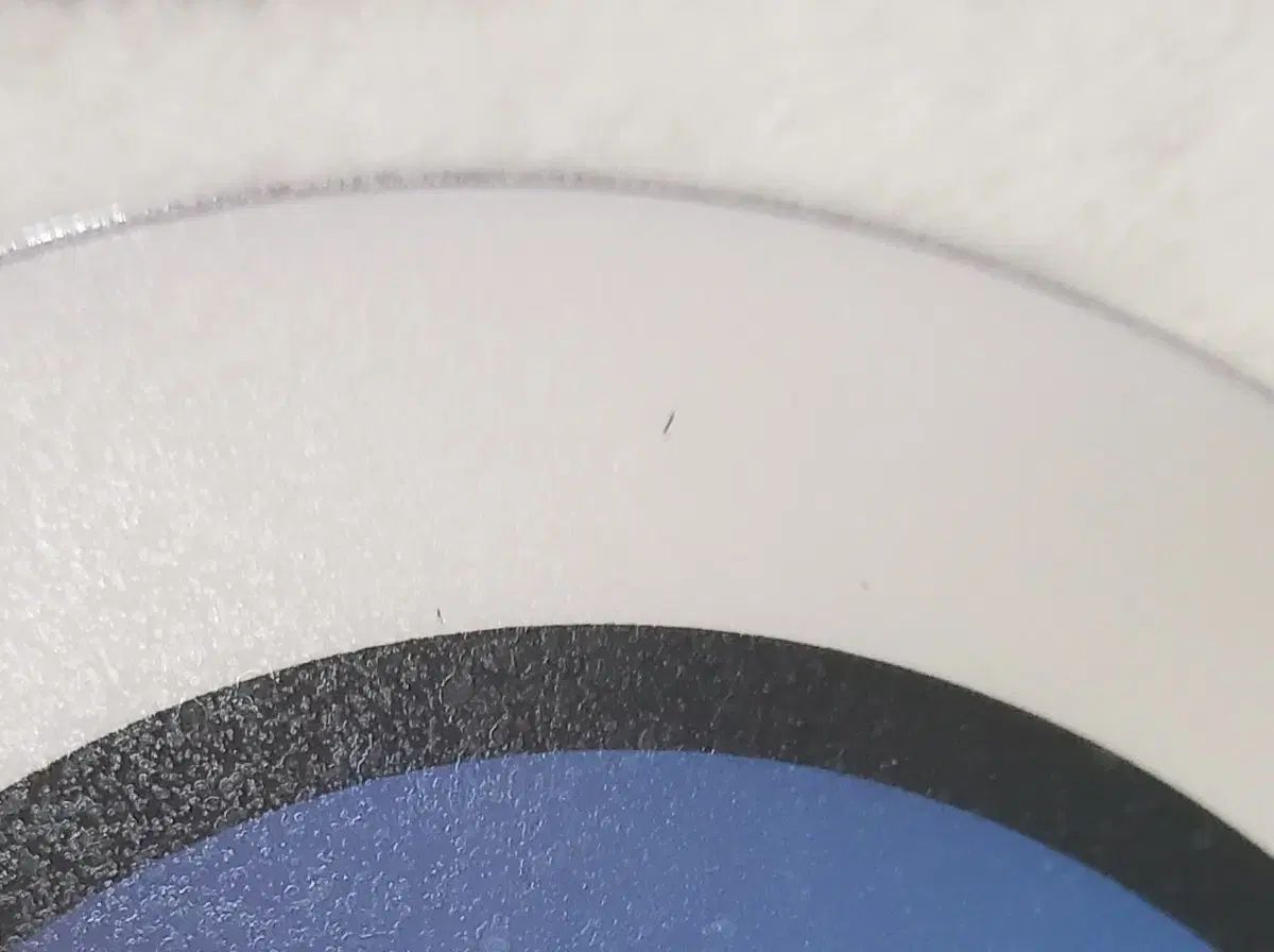 デジタルモンスターベンチャー DVD