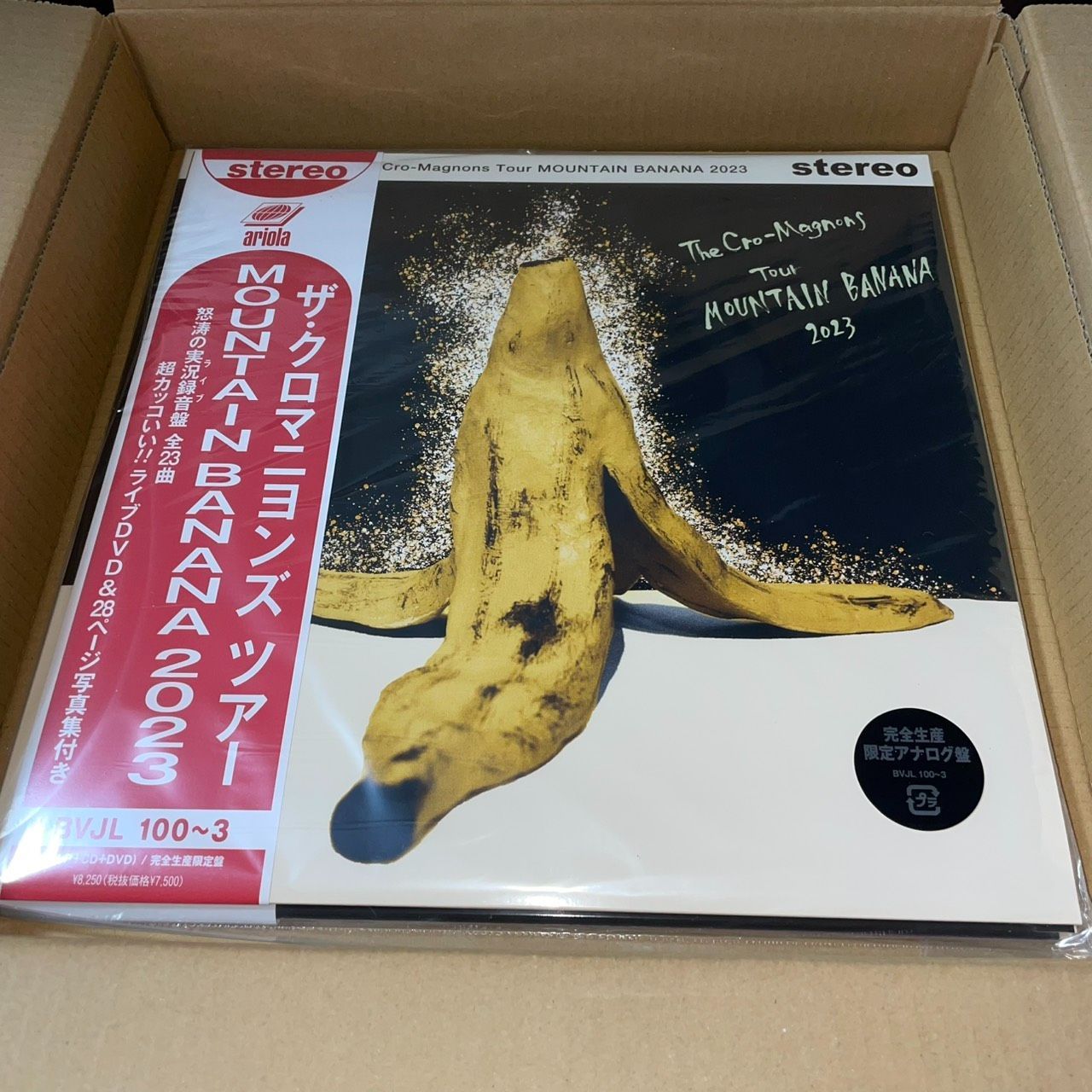 ザ・クロマニヨンズ ツアー MOUNTAIN BANANA 2023 完全生産限定盤 ザ