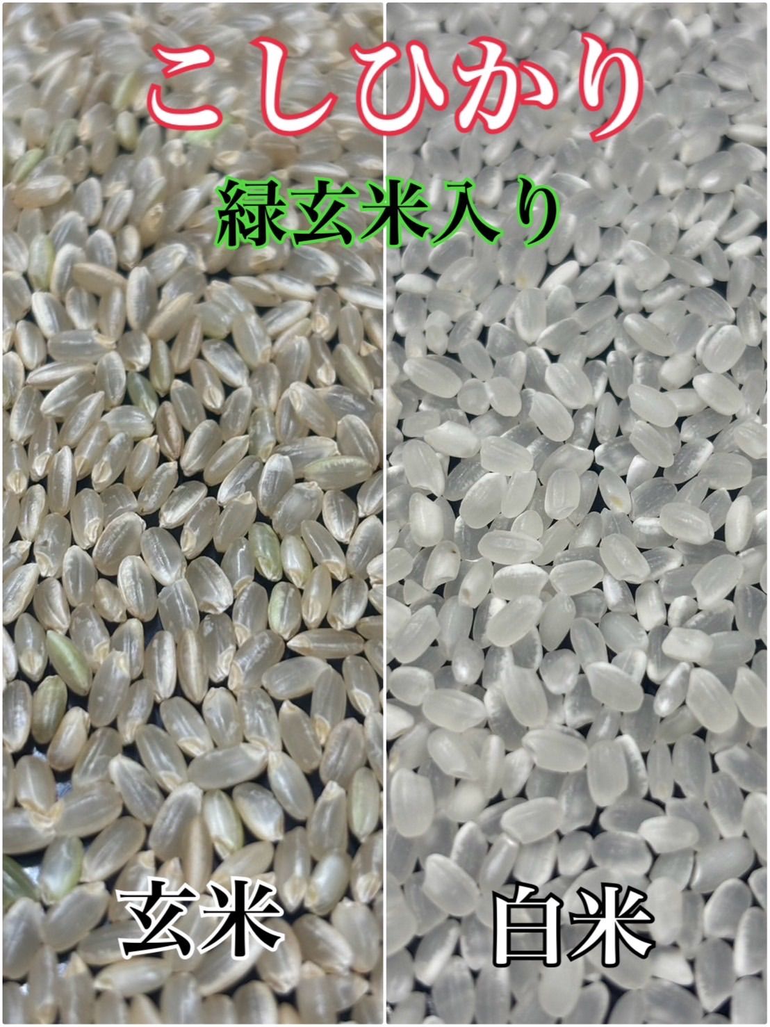 新米 令和7年産 淡路島産コシヒカリ 30kg精米 送料無料 - メルカリ