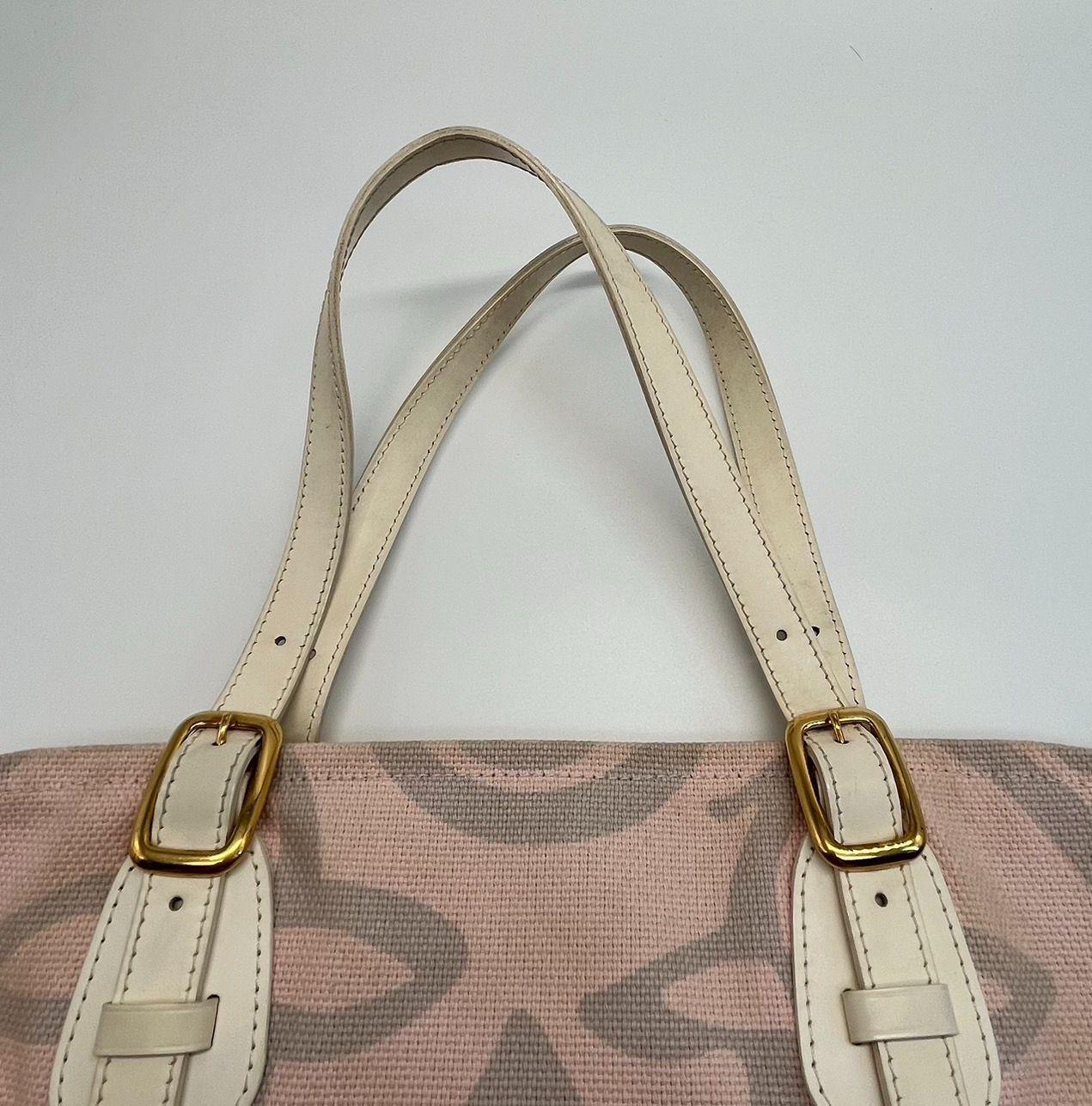 ルイ・ヴィトン Louis Vuitton タイシエンヌ PM ショルダーバッグ 