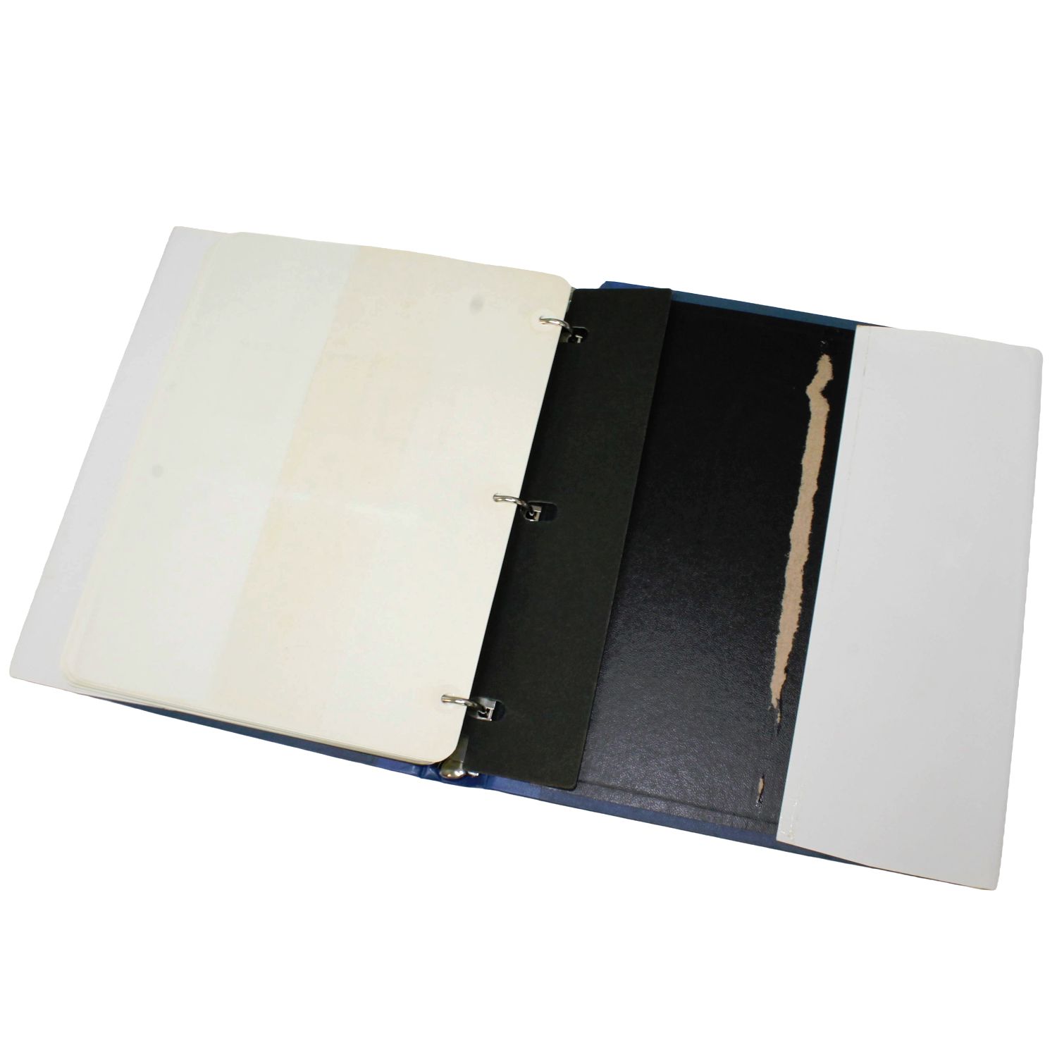 希少】世界の鳥切手コレクション アメリカ/アルジェリア他 専用