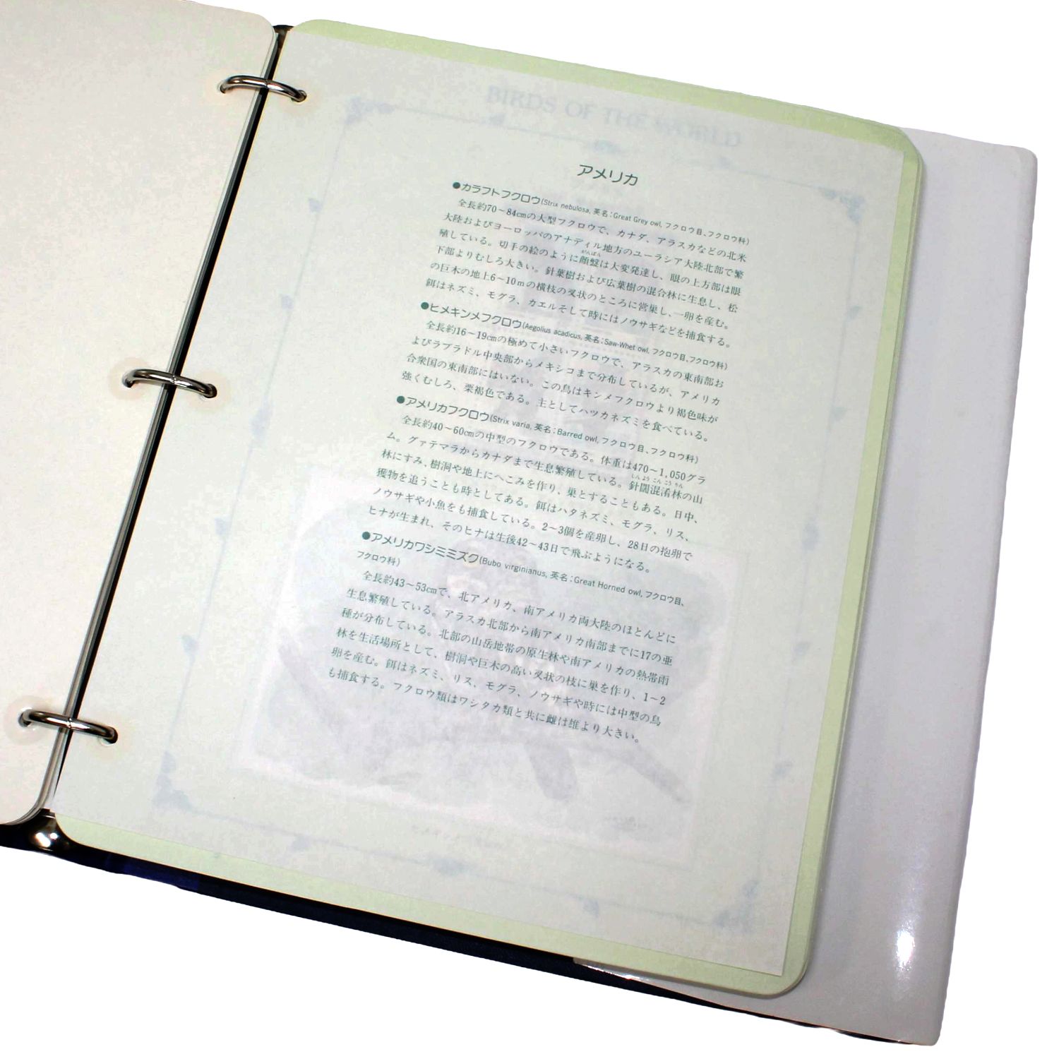 希少】世界の鳥切手コレクション アメリカ/アルジェリア他 専用