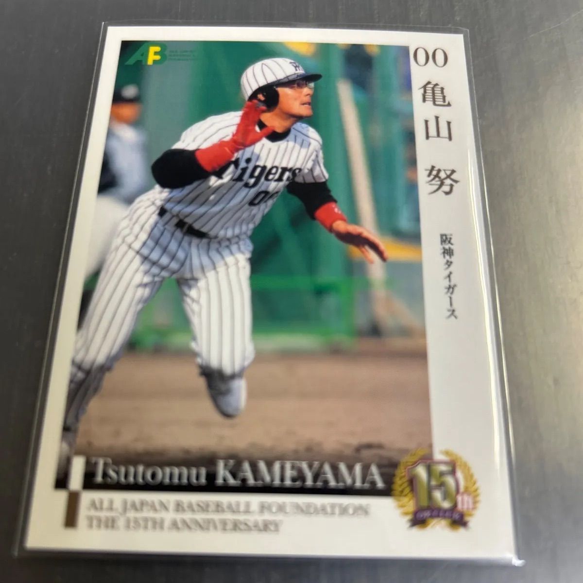 エポック 2010 日本プロ野球機構 15周年 亀山努 阪神タイガース No,95