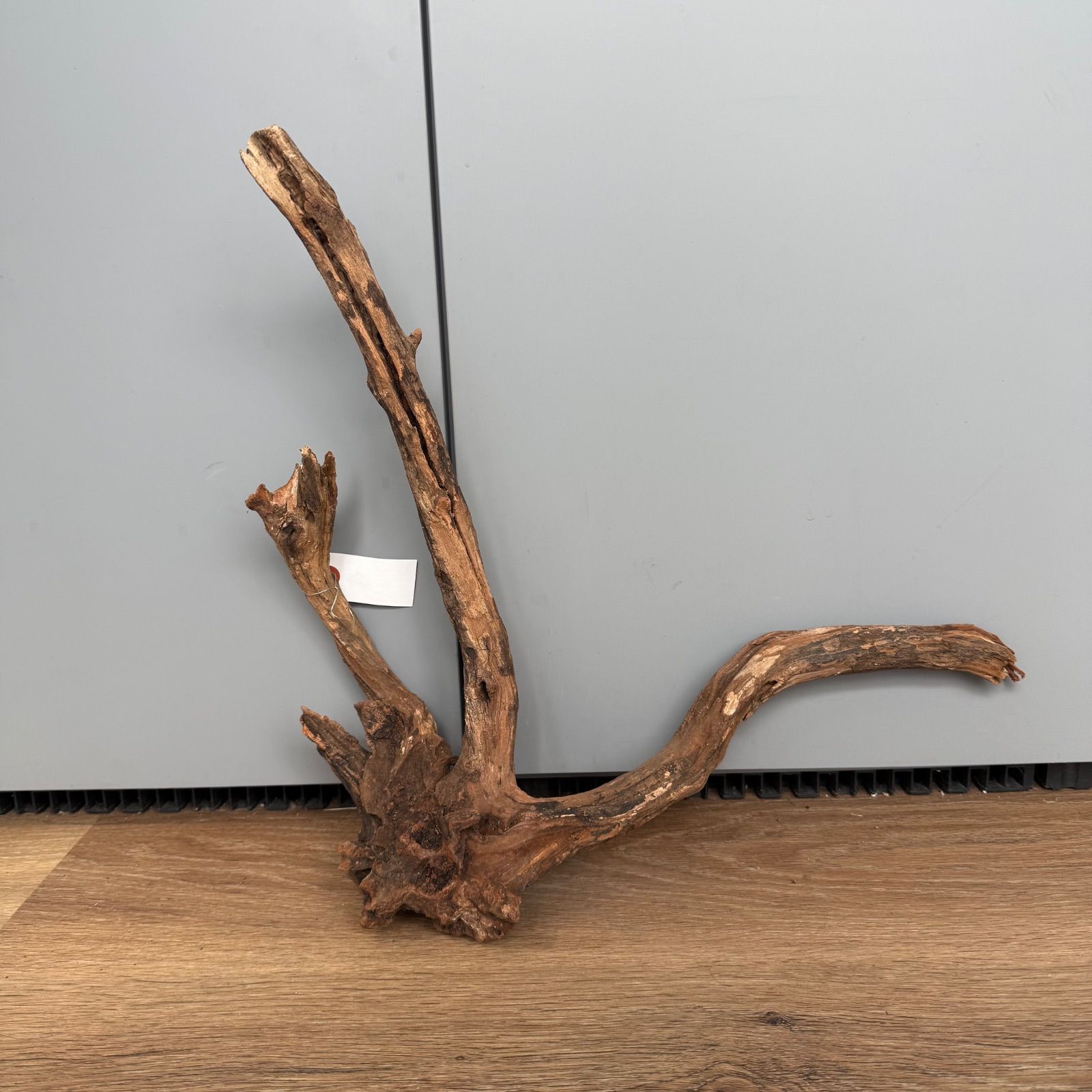 セレクト流木（現物発送）012902 - メルカリ