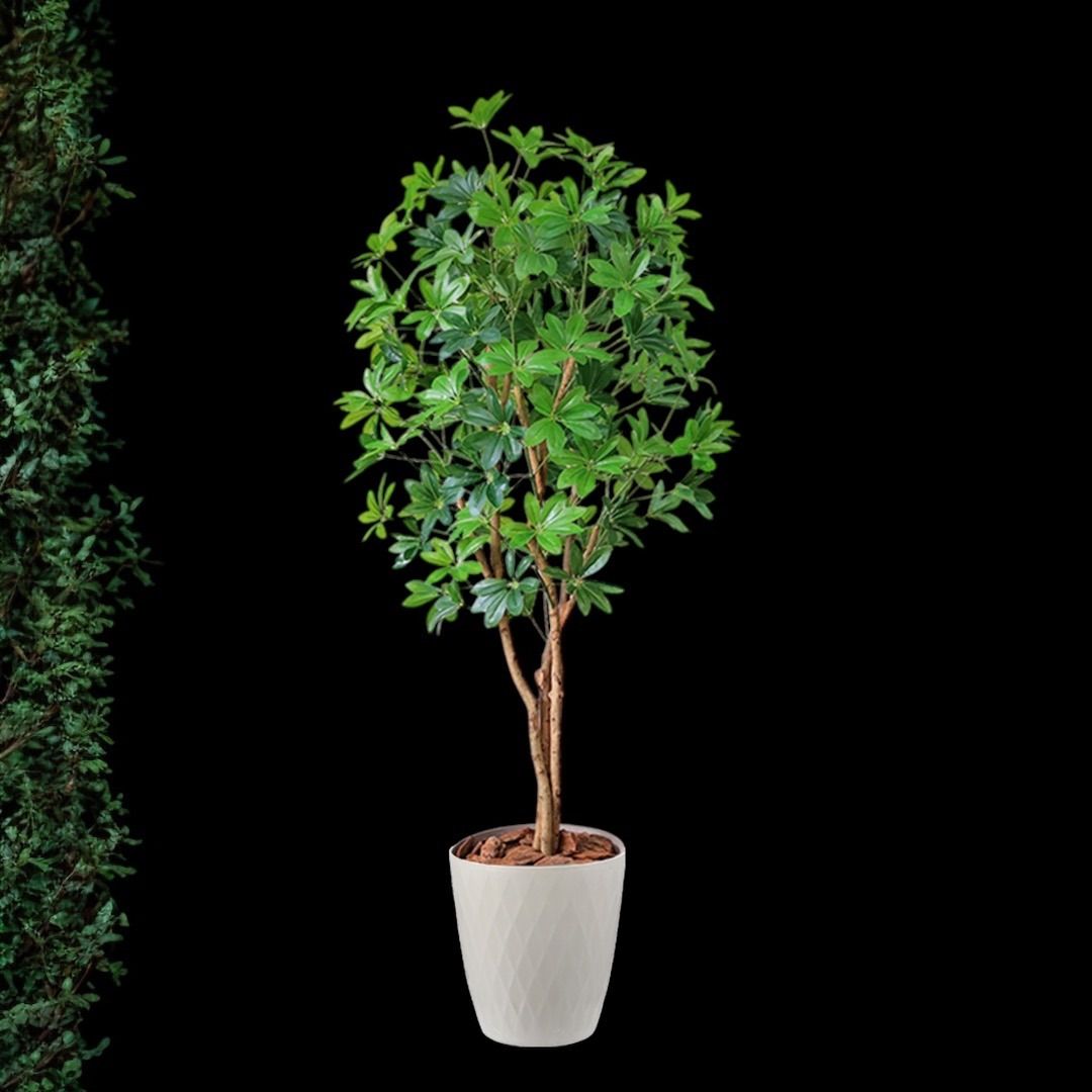 光触媒 人工観葉植物 ウォールグリーン フェイクグリーン カポック8321